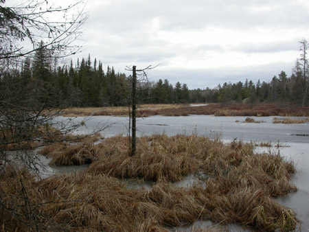 Union Lake view, January 2007